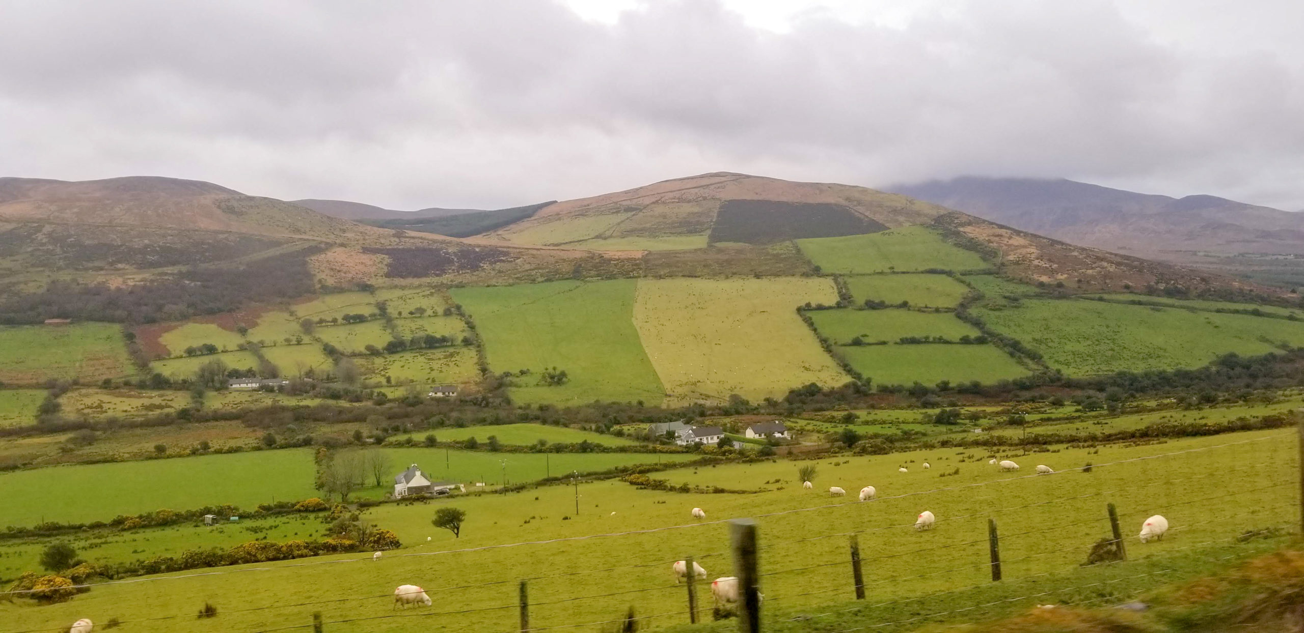 Insider Experience: Ireland – Day Three to Dingle