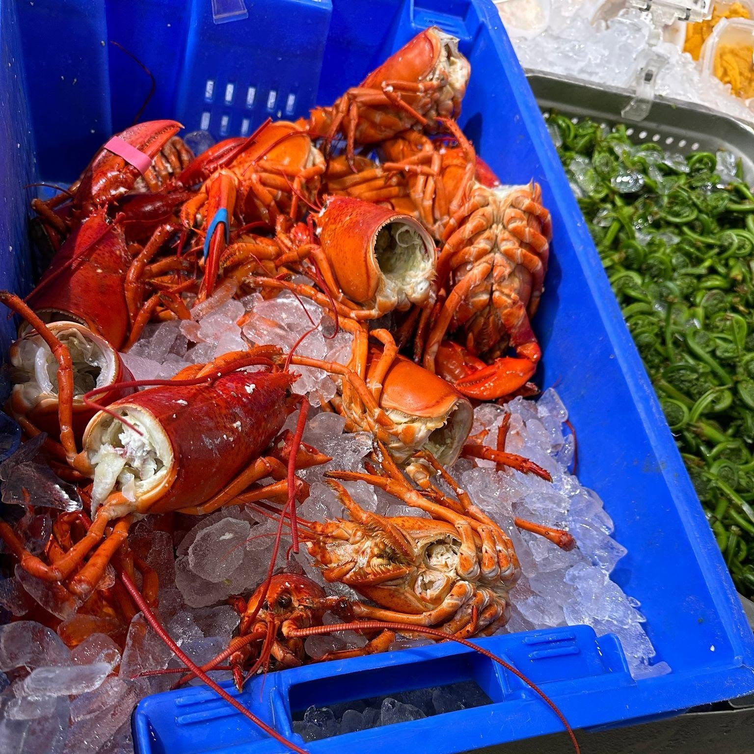 499360999_1433964411359575_8496548645910640973_n