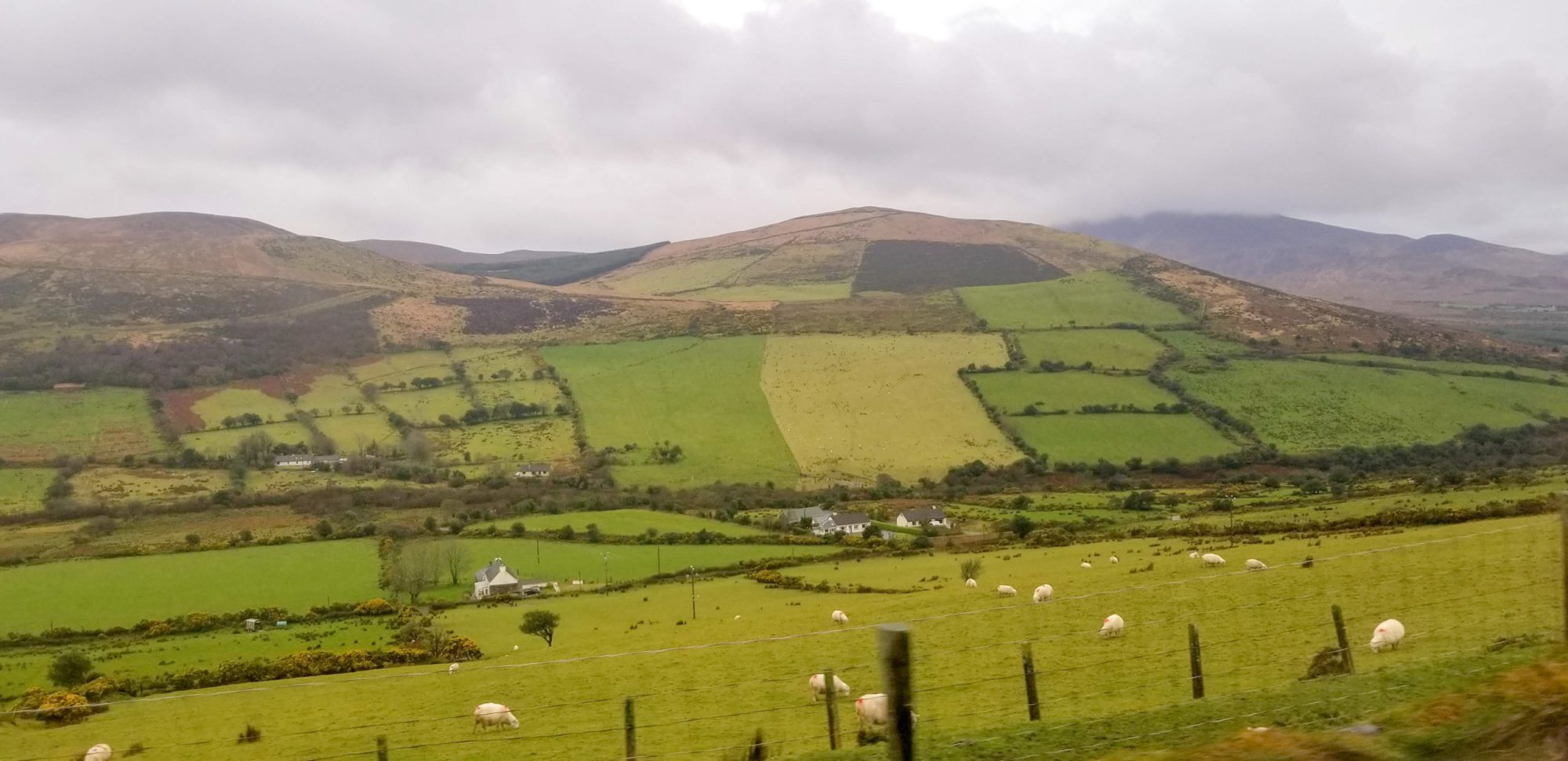Green fields with sheep and hills under a cloudy sky.