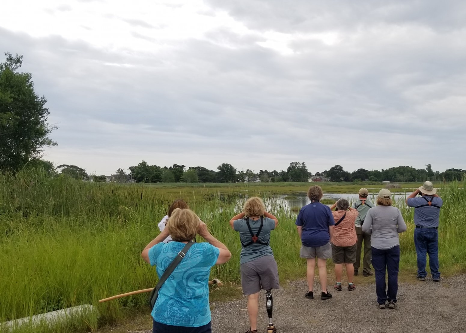 People birdwatching in a grassy wetland area under a cloudy sky.