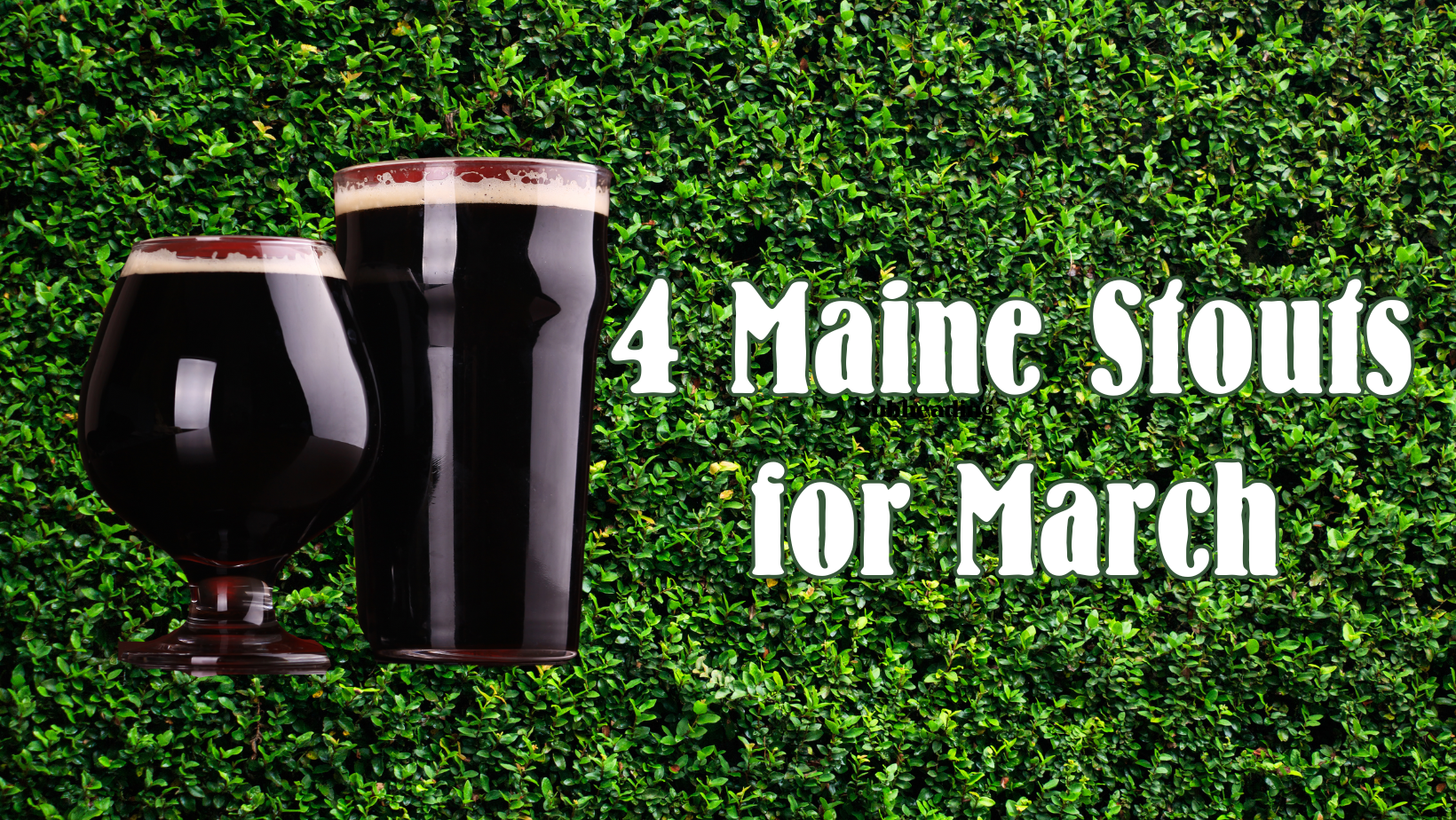 Two stout beer glasses on greenery with text '4 Maine Stouts for March'.