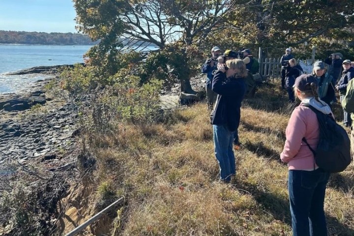 Group of people birdwatching near a rocky shore with trees and grass on a sunny day.