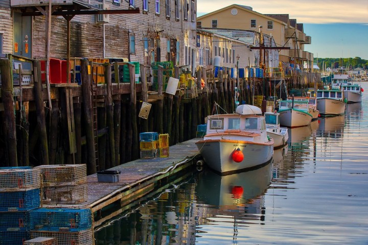 Boats docked along a wooden pier with stacked lobster traps and buildings in the background.