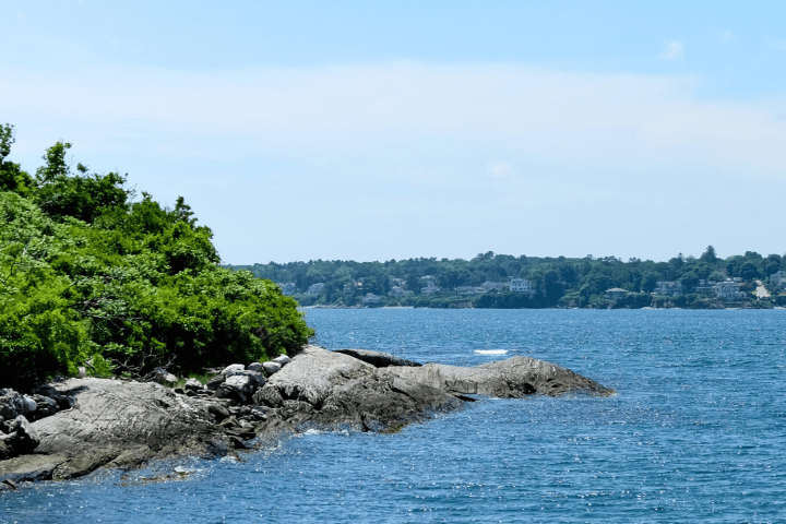 Rocky shoreline with lush greenery by a calm blue sea under a clear sky.
