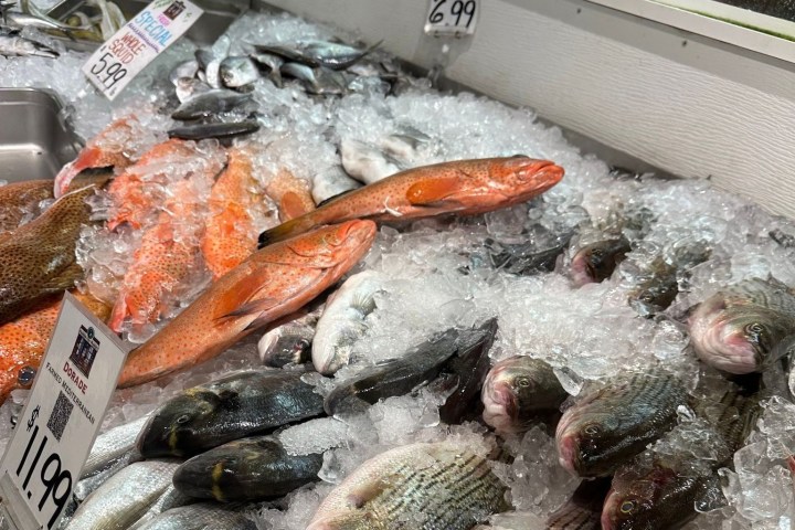 Various fish on ice at a market, with visible price tags.