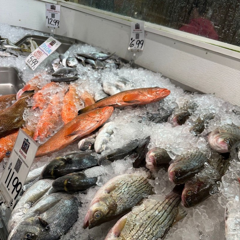 Various fish on ice at a market, with visible price tags.