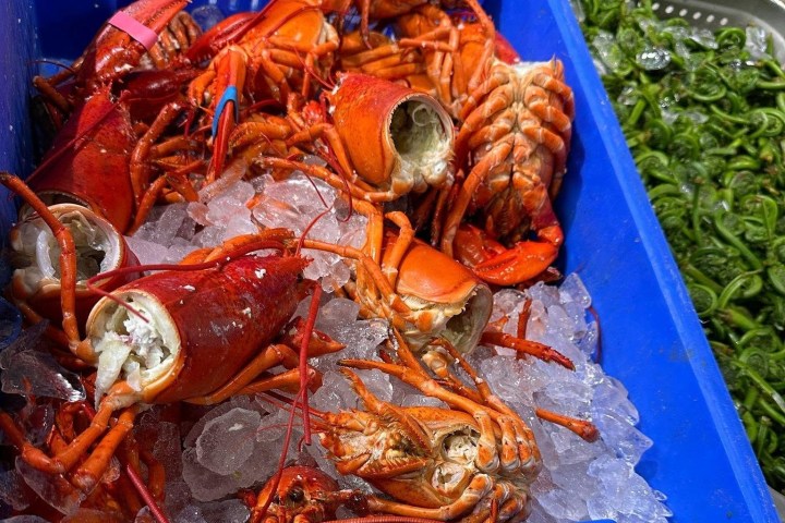 Cooked lobsters on ice in a blue plastic crate at a seafood market.