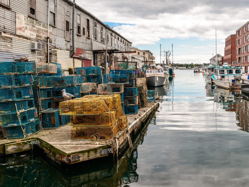 Dockside with lobster traps, fishing boats, and buildings along a calm waterfront under a cloudy sky.